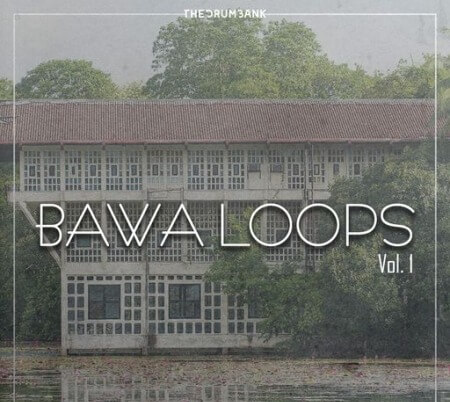 Dynasty Loops Bawa Vol.1 WAV